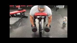 Building back muscle  Incline Dumbbell Rows [upl. by Ammadis229]