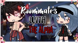 Enemies To Lovers Gacha life mini movie GLMM not original special for hitting 13k [upl. by Valaria148]