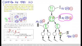 2018 수능 생명과학1 12번 풀이 [upl. by Christis424]