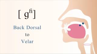 ɡʱ  voiced aspirated back dorsal velar stop [upl. by Purington543]