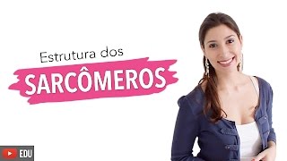 Músculo Esquelético 36 Estrutura básica dos Sarcômeros  Anatomia e etc [upl. by Katuscha]