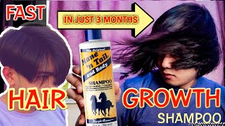 Fast hair growth shampoo mane and tail  hair grower  shampoo ng kabayo mabilis pampahaba ng buhok [upl. by Aij]