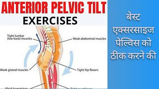 How to Do The Pelvic Tilt Exercise [upl. by Ahcirt]