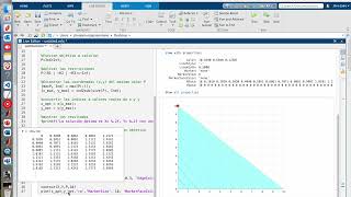 3 Optimización Lineal Codificación [upl. by Stanford749]