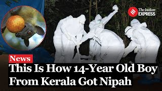 Nipah Virus This Is How 14Year Old Boy From Kerala Got Nipah  Nipah Virus Kerala [upl. by Dlaniger464]