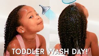 Toddler Curly Hair Wash Day Routine  Kid Friendly Tutorial for Easy Detangling  Moisturized Curls [upl. by Aihsekat]