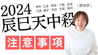 【算命学】辰巳天中殺さん干支別🐉気をつけたいこと・過ごし方アドバイス【2024甲辰年🐉辰巳天中殺さんへの注意事項】 [upl. by Sherburn]