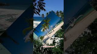 Malapascua Island Cebu Philippine beach destination [upl. by Oijile]