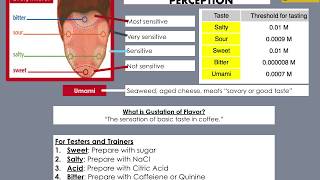 SCA Coffee Sensory Skills Foundation  Part 2  Sharing my old PowerPoint slides with explanations [upl. by Uriia564]