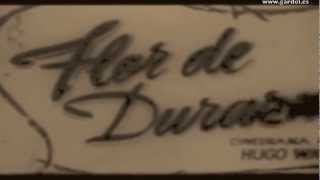 FLOR DE DURAZNO Primer film de Gardel 1917 Película Muda [upl. by Odnolor]