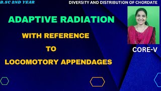 Adaptive Radiation With Reference To Locomotory Appendages BSc 2nd YearAdaptiveRadiationmammals [upl. by Nylzor]