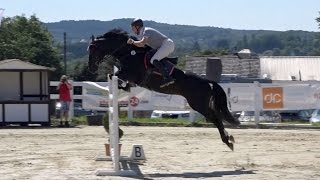 Chanteur de noir  S mit Stechen in Asbach am 07082016 [upl. by Merralee]