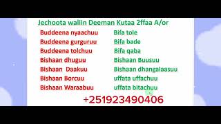 Afaan Oromoo Jechoota waliin Deeman Kutaa 2ffaa study Afaan OromooAmharic English letters [upl. by Mcroberts468]