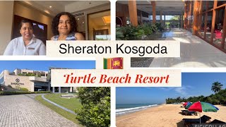 We stayed for free at the Sheraton Kosgoda Turtle Beach Resort in Sri Lanka Part 1 [upl. by Firmin]