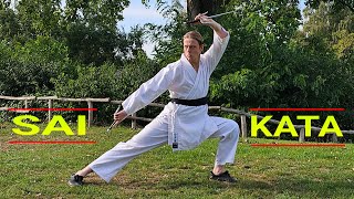 Kobudo Sai Form Martial Arts of Okinawa  Wesley Broekhuis [upl. by Kcirdahc]