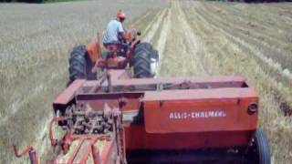 Wheatstock 8  Allis Chalmers 303 square baler baling straw 1002102mov [upl. by Dnana823]