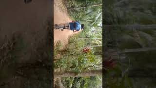 Cycling 🚴‍♂️🇱🇰 cycletravel bicycletour ebiketour cycletour nature bicycletravel Srilanka🇱🇰 [upl. by Aicilev801]