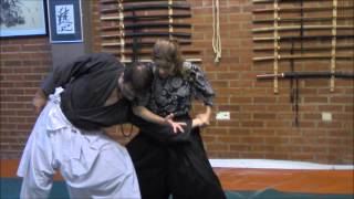 Ogawa Ryu  合気柔術 Aikijujutsu Shidoshi Juliana Galende Valencia  Spain  2014 [upl. by Maram]