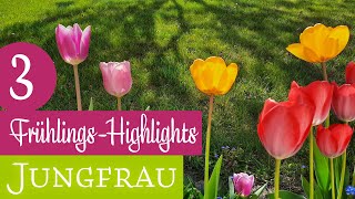 JUNGFRAU ♍️  3 FRÜHLINGSHIGHLIGHTS 🌷🌷🌷 Orakel Kartenlegen Frühlingsorakel Frühlingsbotschaft [upl. by Sarah]