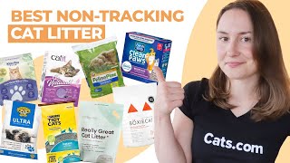 The Best NonTracking Cat Litter We Tested Them All [upl. by Francisca692]