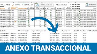 📌Guía completa generar el anexo transaccional con plantilla de Excel✔ [upl. by Thistle621]