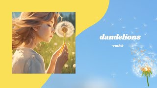 Dandelions with lyrics  ruth b [upl. by Nnednarb]