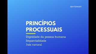 Princípios Processuais [upl. by Rodney]