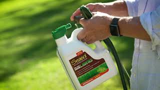 Seasol for Lush Green Lawns  How to achieve a lush green lawn  Spring 7  2020  Garden Gurus [upl. by Farrel]