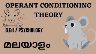 Operant Conditioning Theory by Skinner l BEdl psychology l explained in Malayalam [upl. by Aneer]