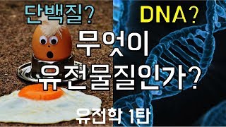 DNA가 유전물질이란 사실은 도대체 어떻게 알았을까｜유전학 여행기1탄 [upl. by Notsreik]