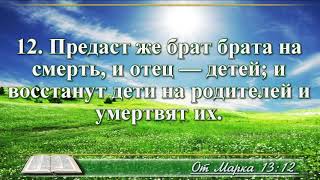 ВидеоБиблия Евангелие от Марка без музыки глава 13 читает Бондаренко [upl. by Oloapnaig]