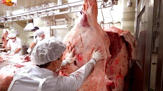 EDUC HOW TO BUTCHER A COW OF MEAT  PROCESS OF MAKING BEEF Korean beef dismantling work  한우 발골 [upl. by Opportuna]