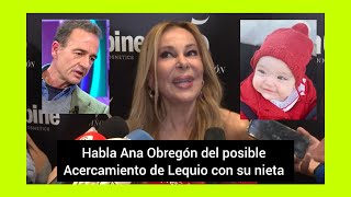 🔥ANA OBREGON desvela en exclusiva el posible acercamiento de su nieta con LEQUIO [upl. by Lertnahs805]