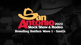 San Antonio Livestock Show 2023  Breeding Heifers Wave 1 South Ring [upl. by Miyasawa929]