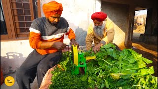 Punjab Farmer Making Village Style Sarson Da Saag Makke Di Roti Rs 99 Only l Jalandhar Street Food [upl. by Oicnoel372]