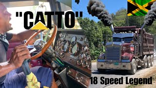 18 Speed Legend  quotCattoquot StThomas [upl. by Anertal]