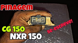 Pinagem funções e cores dos fios do regulador retificador da CG 150 e NXR 150 [upl. by Conlon480]