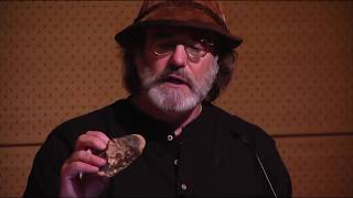 Paul Stamets Mushrooms for People and Planet Ancient Allies for Modern Maladies [upl. by Gnah540]