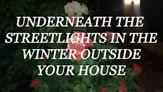 Wallows  Underneath the Streetlights in the Winter Outside Your House Lyric Video [upl. by Lannie]