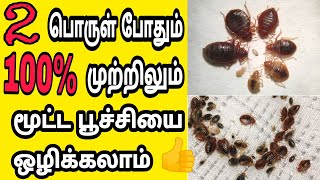 2 பொருள் போதும் மூட்ட பூச்சியை ஒழித்து கட்டbed bugsmoota poochirasi tips [upl. by Brinna366]