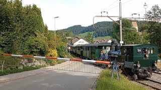 Bahnübergang Bäretswil CH  Swiss Railroad Crossing [upl. by Jochebed]