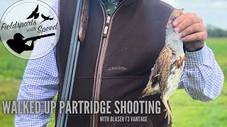 Partridge Shooting  Walked up Partridge with the Blaser F3 Vantage  Lots of Birds  Eley Hawk [upl. by Ardnait988]