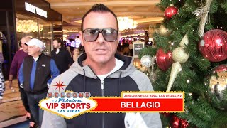 Steve Stevens  Sportsbook Review  Bellagio Las Vegas [upl. by Grove]