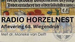 Radio Horzelnest  Aflevering 68 Wiegendruk [upl. by Ibrik]