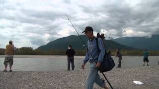 Sockeye Salmon fishing Fraser River [upl. by Lrad]