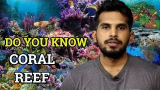 In Hindi What are Coral Reefs   Benefits of Coral Reef  Ecology UPSC IAS Exam  CJTalk [upl. by Ollayos]