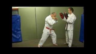 Judo for Self Defence Atemi Waza Part 1 amp PreEmptive Strikes Ray Sheerin [upl. by Jolyn]