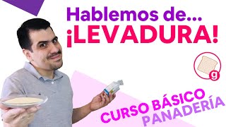 Hablemos de Levadura  Curso Básico de Panadería  Episodio 2  Galería de Recetas  GDRC127 [upl. by Davenport]