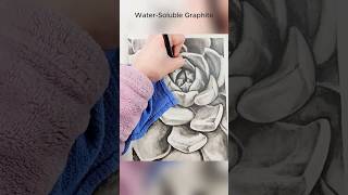 Watersoluble graphite is amazing graphite [upl. by Nnyletak]