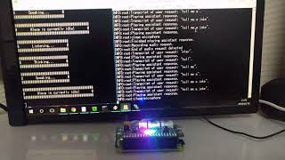 Raspberry Pi Zero W with ReSpeaker 2Mics Hat running Google Assistant amp Alexa simultaneouslyVer2 [upl. by Lail]